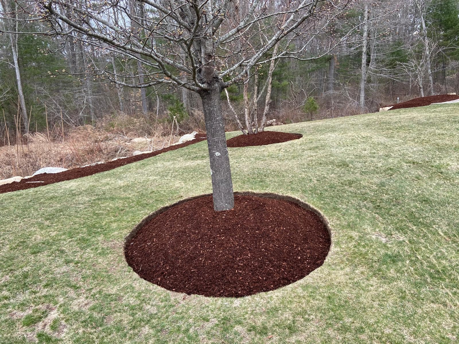 Landscaping project by Grow'N Mow on the South Shore of Massachusetts