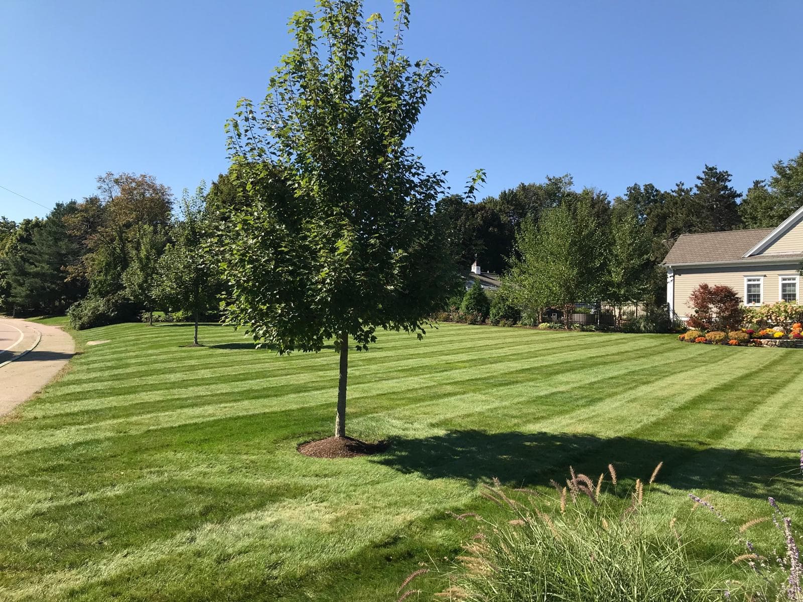 Lawn Care project by Grow'N Mow on the South Shore of Massachusetts